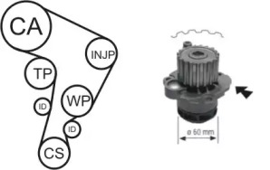 AIRTEX VW К-кт ГРМ (помпа+ремень+3 ролика+крепление) POLO IV 02-12, SKODA FABIA I 99-08, SEAT IBIZA III 02-05