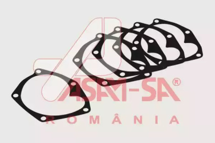 (к-кт 10шт) Прокладка водяної помпи Renault Megane, Logan, Duster, Sandero 1,5dCi