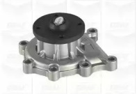 Помпа водяна