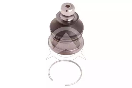 Опора кульова (передня/знизу) Nissan Note/Micra 02-13