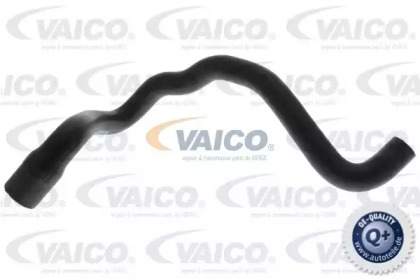 Шланг радиатора