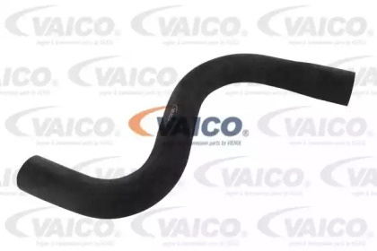 Шланг радиатора