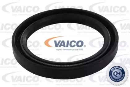 Уплотняющее кольцо, коленчатый вал